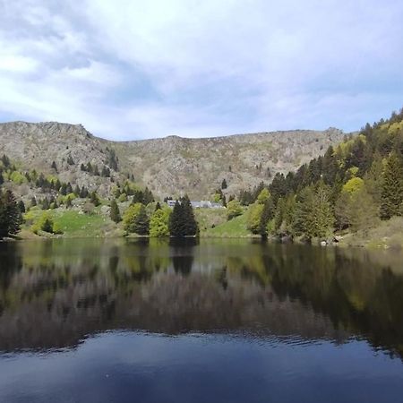 Aux Balcons De La Vallee Soultzeren Номер фото