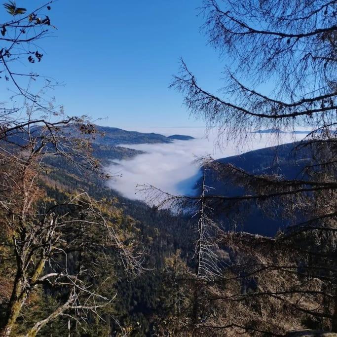 Aux Balcons De La Vallee Soultzeren Экстерьер фото