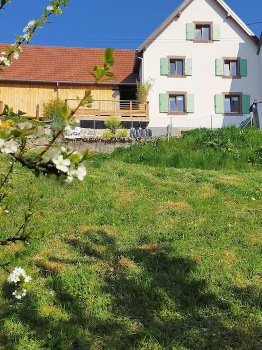Aux Balcons De La Vallee Soultzeren Экстерьер фото